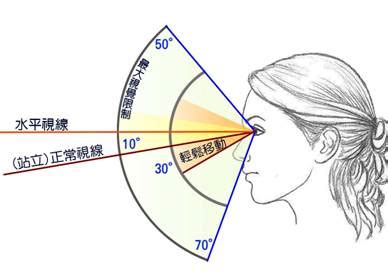 人類視覺角度|感覺系統/視覺系統